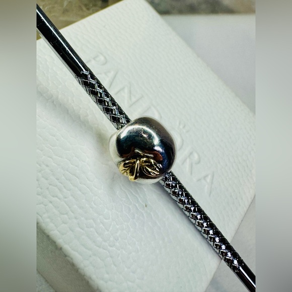 Authentic Retired Pandora Apple of My Eye Two Tone 14k & S925 Ale Charm - Picture 6 of 14